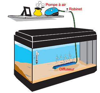 Les besoins en oxygène de l'eau de votre bassin. – aquatechnobel