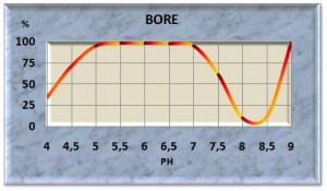 bore11