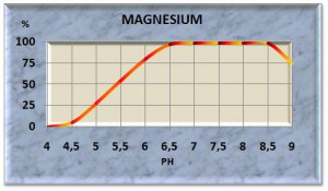 magnes11