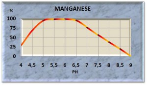 mangan11