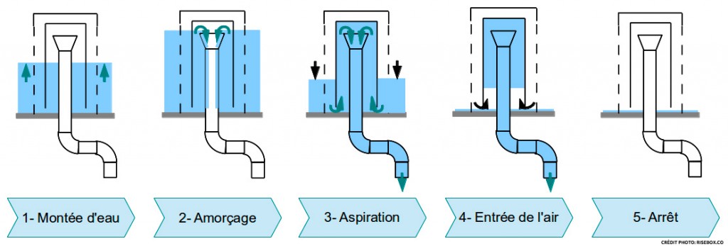 Fonctionnement siphon cloche automatique