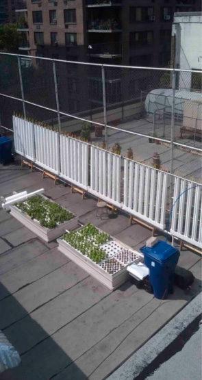 jardiner-sur-les-toits