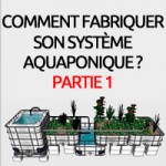 Construction étape par étape d’un système aquaponique avec tables à marées