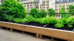 Créer son potager bio en aquaponie sur son balcon