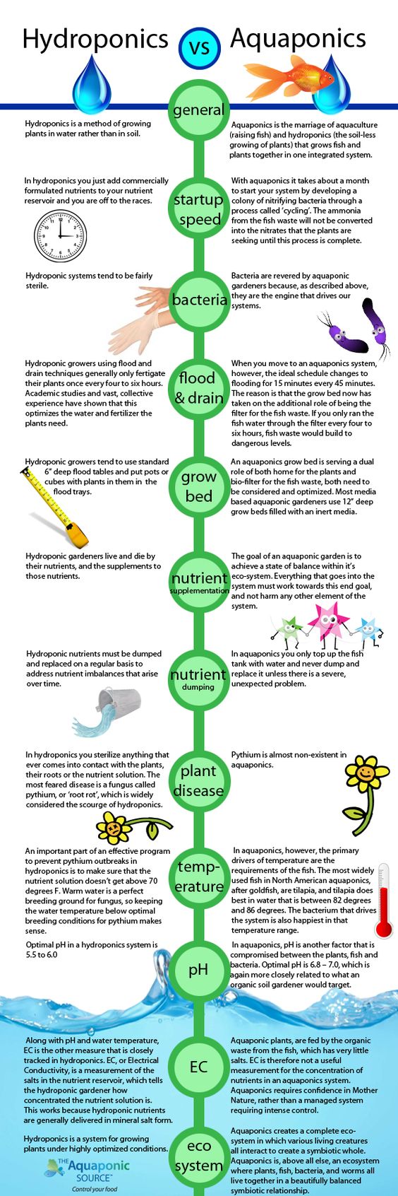 Plantes vertes en Hydroculture, Hydroponie et Aquaculture, quelle est la  différence? 