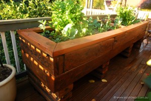 Système aquaponique sur un balcon