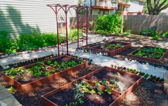 jardin-potager-ombre