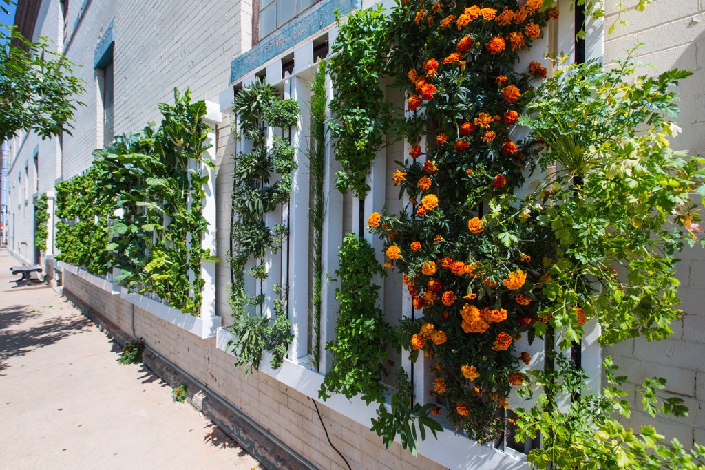 jardin-vertical-mur-vegetal-aquaponie