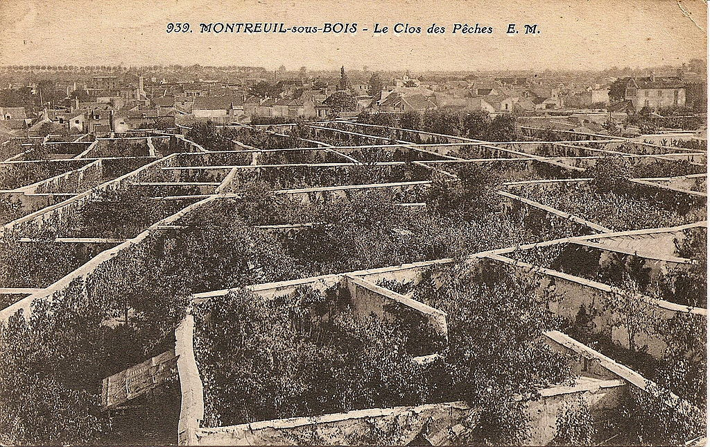 Photo : des murs de culture à Montreuil, un quartier de Paris