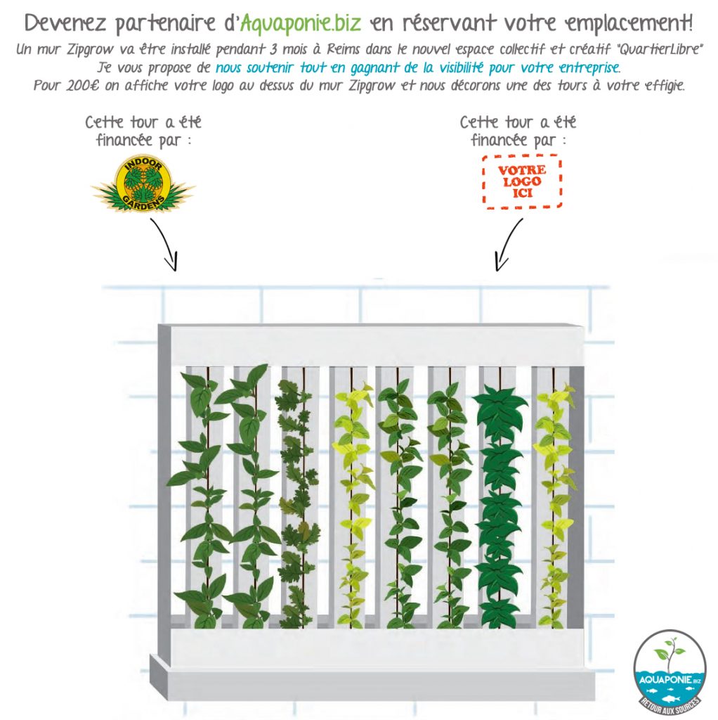 mur-zipgrow-quartier-libre