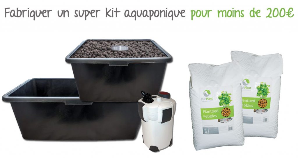 kit-aquaponique-diy-pas-cher