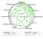 Charte de Mulder : interaction des nutriments