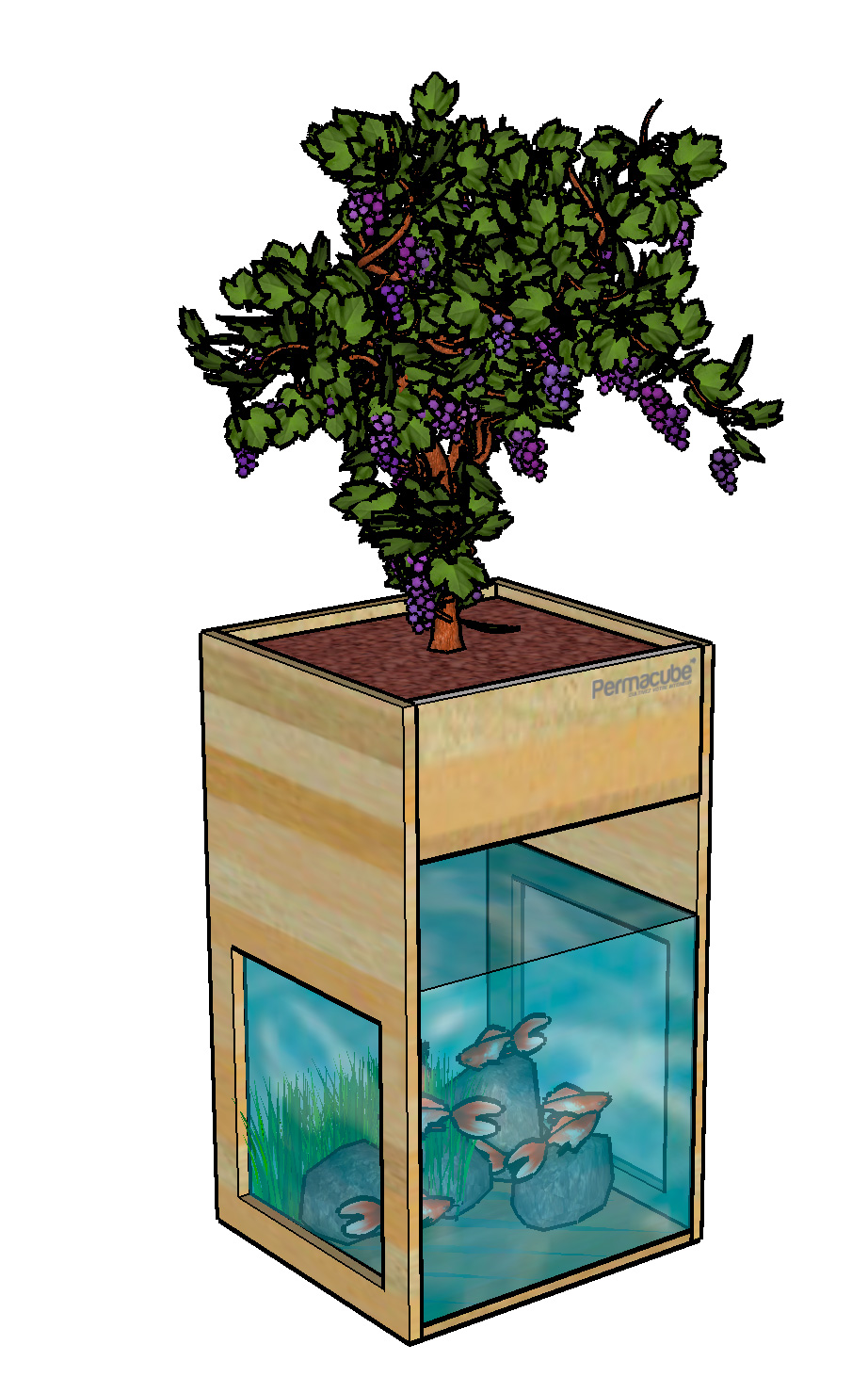 Fabriquer son kit aquaponique facilement (Permacube DIY) Aquaponie
