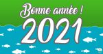 2021 c’est votre année : Bonne année à toutes et à tous!