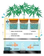 Découvrez la puissance du dual root zone!