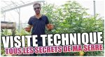 Vidéo technique complète sous serre en aquaponie sur sable (iAVs)